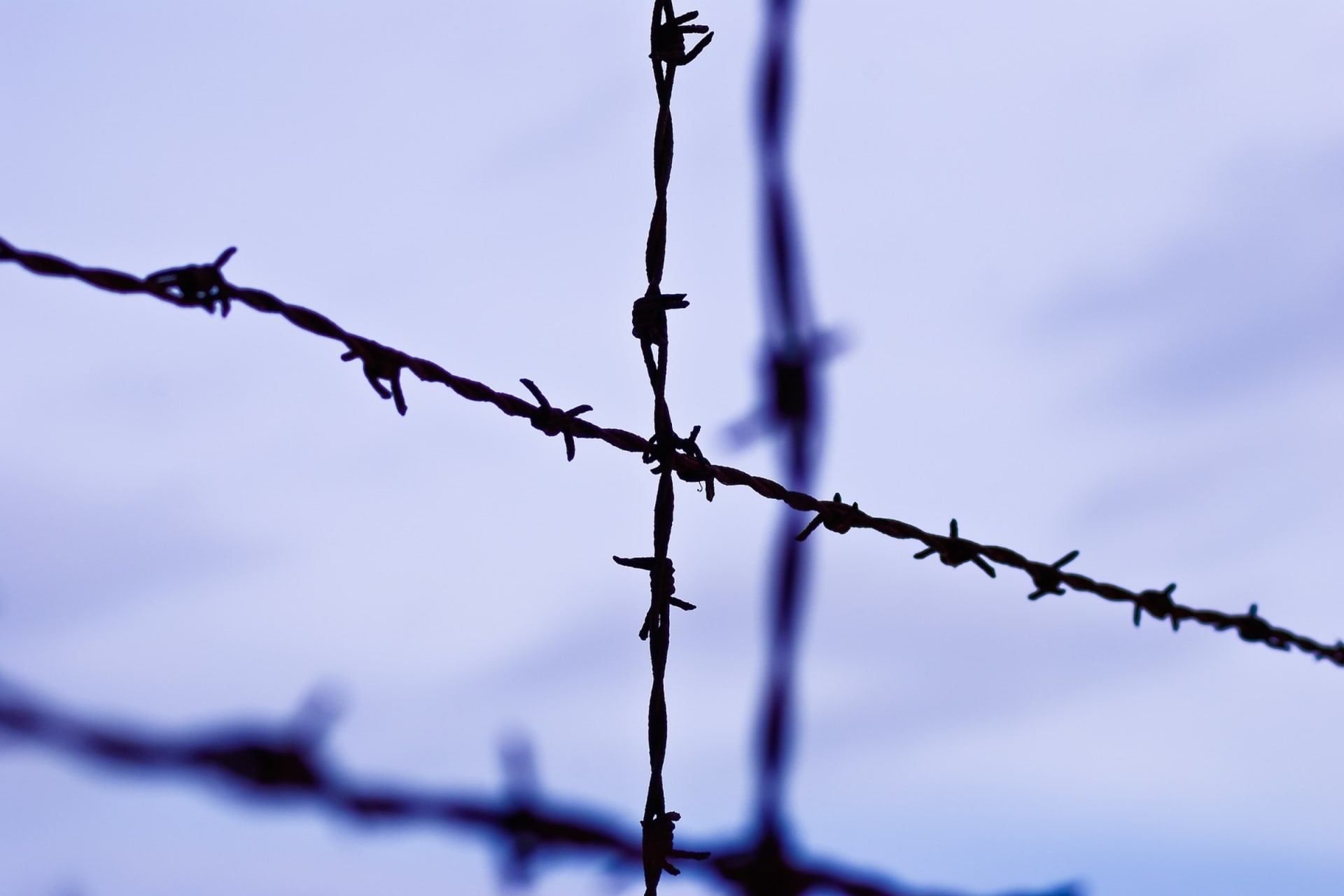 Barbed Wire