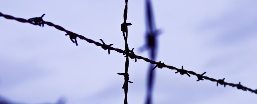 {{brizy_dc_image_alt entityId=