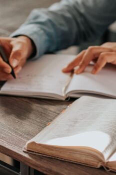 {{brizy_dc_image_alt entityId=