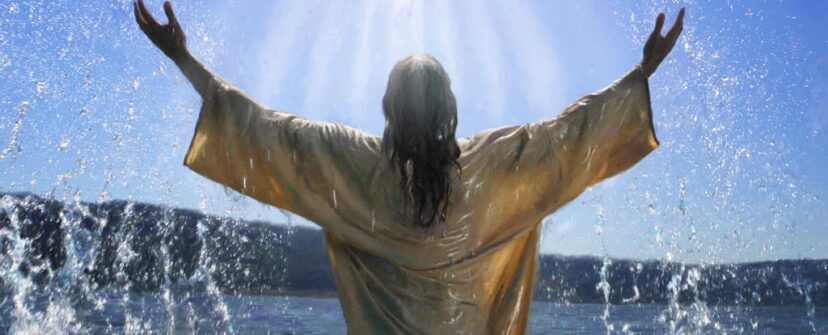 {{brizy_dc_image_alt entityId=