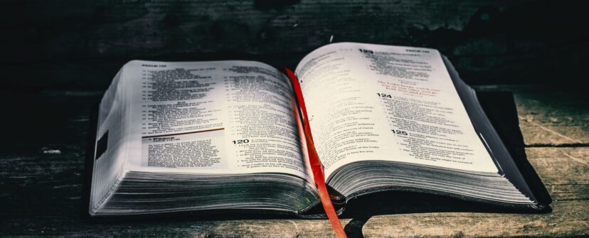 {{brizy_dc_image_alt entityId=