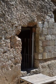 {{brizy_dc_image_alt entityId=